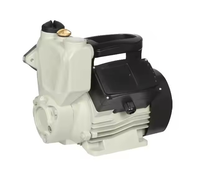 WZB200A Automatic Booster Pump 0.2KW 25m Head For Home Water Supply factory