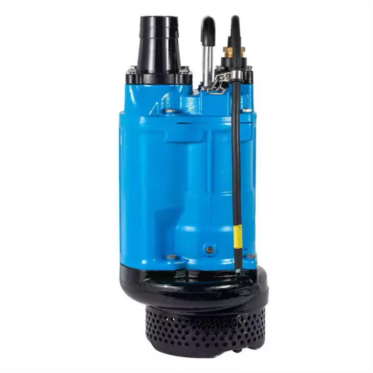 ปั๊มกากตะกอนน้ำเสียแบบจุ่มไฟฟ้า