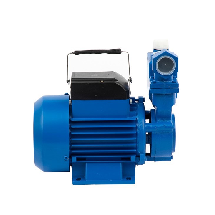 Izdb-45 0.75HP Domestic Self-Priming Clean Water Pump