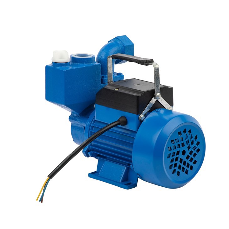 Izdb Series Self-Priming Clean Water Pump Izdb Series Self-Priming Clean Water Pump