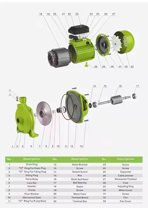 Cpm158-Affordable-Professional-Manufacturer-S-Centrifugal-Electric-Water-Pump 4 Cpm158-Affordable-Professional-Manufacturer-S-Centrifugal-Electric-Water-Pump 4