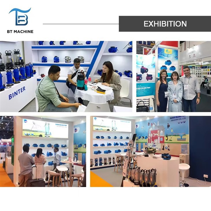 Professional 150WQ130-30-22 Electric Submersible Sewage Pump Professional 150WQ130-30-22 Electric Submersible Sewage Pump