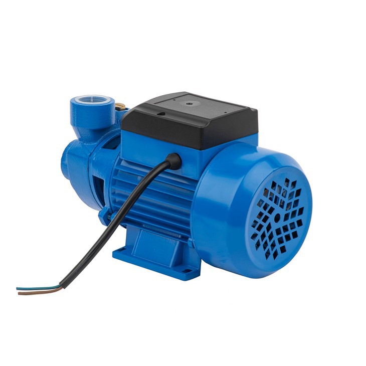 QB80 1HP Peripheral Clean Water Pump