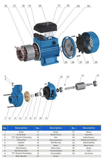 QBSeries 0.5HP/0.75HP/1HP Peripheral Clean Water Pump