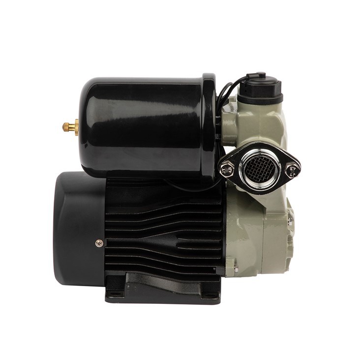 WZB 300A Electric Peripheral Water Pump WZB 300A Electric Peripheral Water Pump