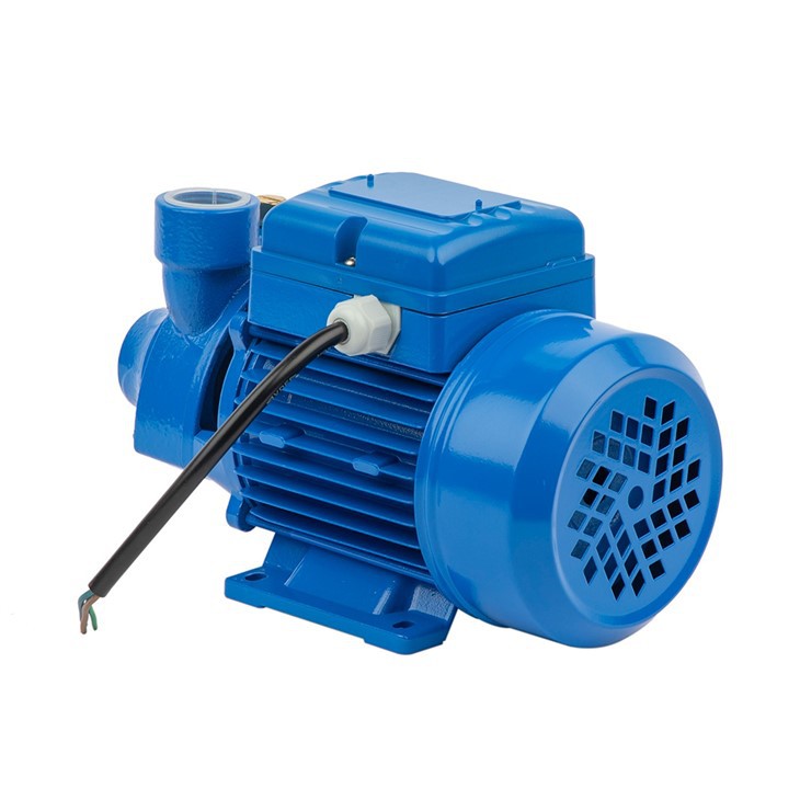 PM Series Peripheral Pump