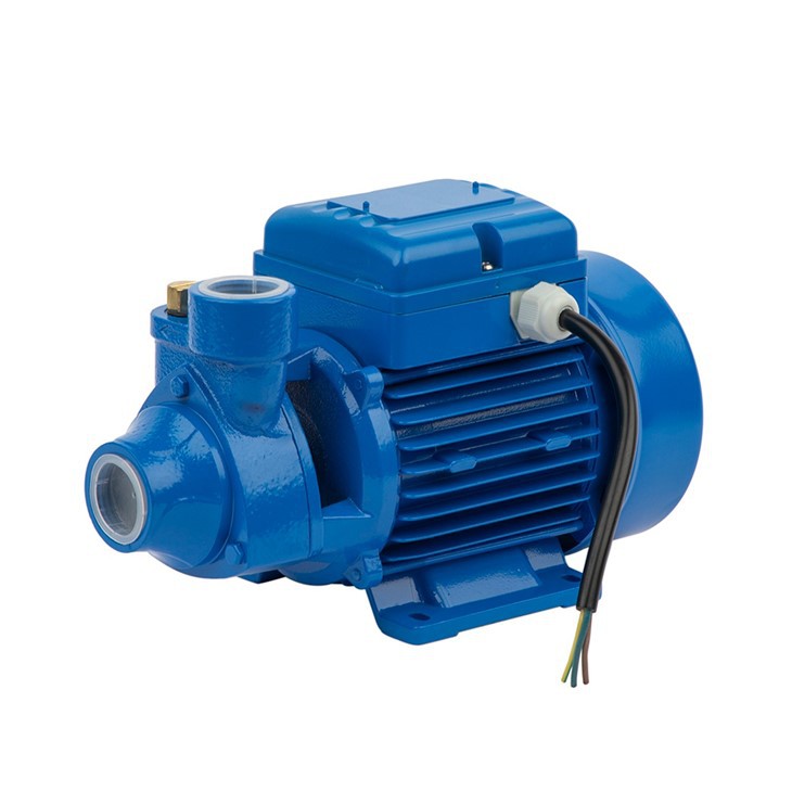 PM Series Peripheral Pump