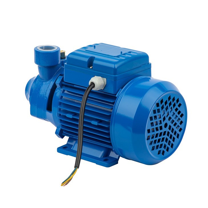 0.37KW PM45 Small Electric Domestic Clean Peripheral Water Pump 0.37KW PM45 Small Electric Domestic Clean Peripheral Water Pump